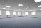 Charleys Forestskylight-replacements-2.jpg; ?>